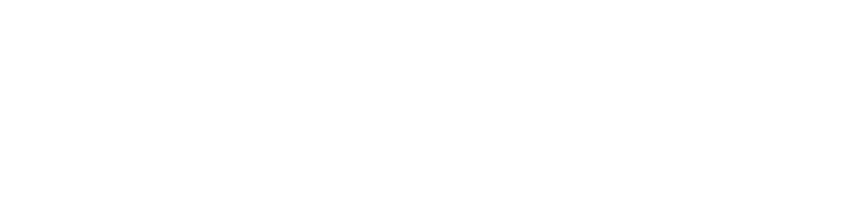 Old Shoe's