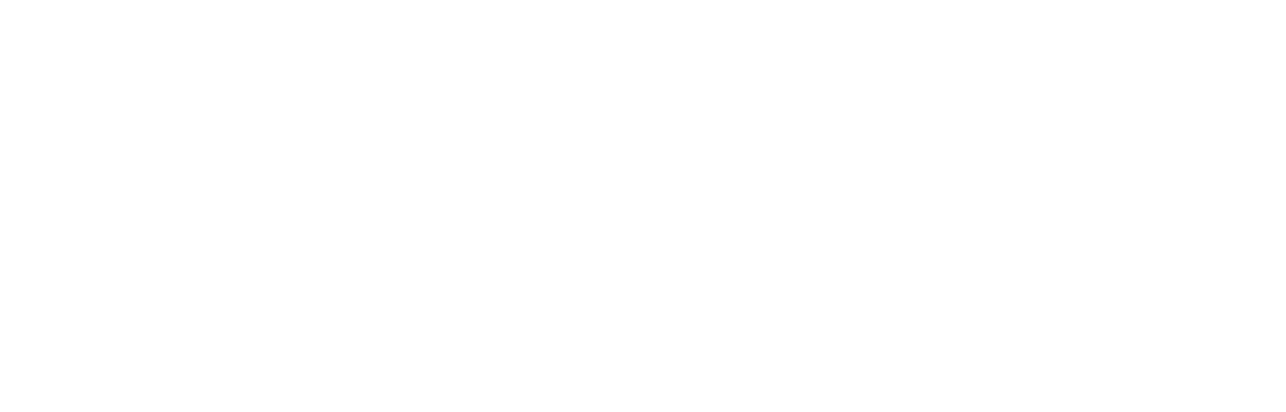 Old Shoe's